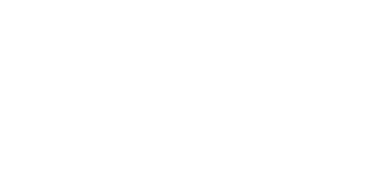 Cryptnox Logo